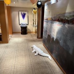 Living Room / Piano area